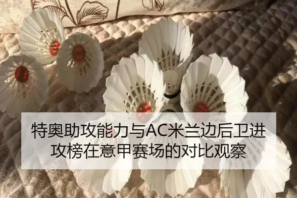 特奥助攻能力与AC米兰边后卫进攻榜在意甲赛场的对比观察