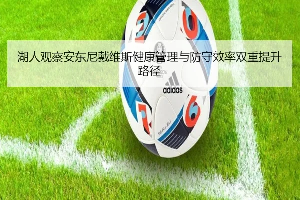 湖人观察安东尼戴维斯健康管理与防守效率双重提升路径