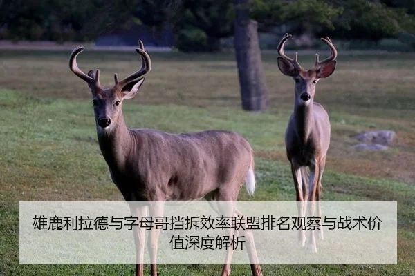 雄鹿利拉德与字母哥挡拆效率联盟排名观察与战术价值深度解析
